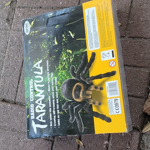 Radio Control Trantula - Picture 4 of 5